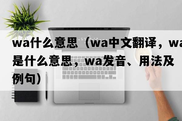 wa什么意思（wa中文翻譯，wa是什么意思，wa發(fā)音、用法及例句）