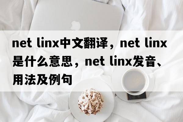 net linx中文翻譯，net linx是什么意思，net linx發(fā)音、用法及例句