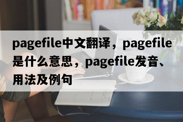 pagefile中文翻譯，pagefile是什么意思，pagefile發(fā)音、用法及例句