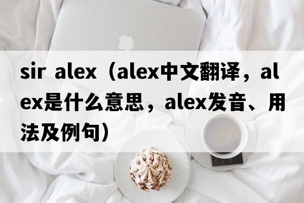 sir alex（alex中文翻譯，alex是什么意思，alex發(fā)音、用法及例句）