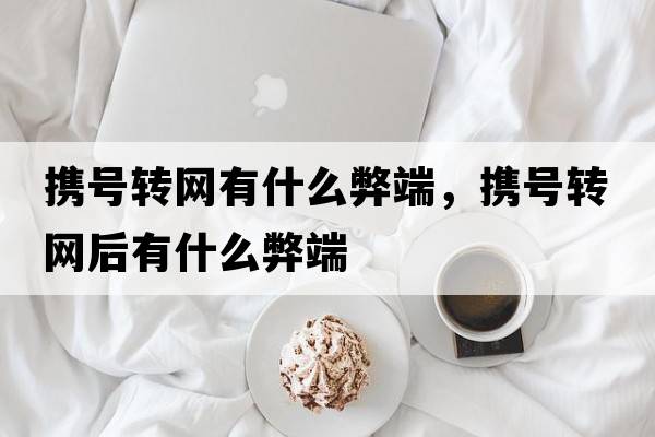 攜號轉(zhuǎn)網(wǎng)有什么弊端，攜號轉(zhuǎn)網(wǎng)后有什么弊端