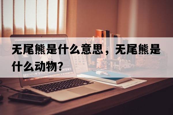 無(wú)尾熊是什么意思，無(wú)尾熊是什么動(dòng)物？