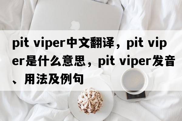 pit viper中文翻譯，pit viper是什么意思，pit viper發(fā)音、用法及例句