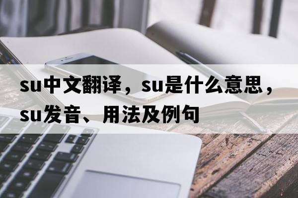 su中文翻譯，su是什么意思，su發(fā)音、用法及例句