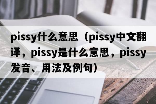 pissy什么意思（pissy中文翻譯，pissy是什么意思，pissy發(fā)音、用法及例句）