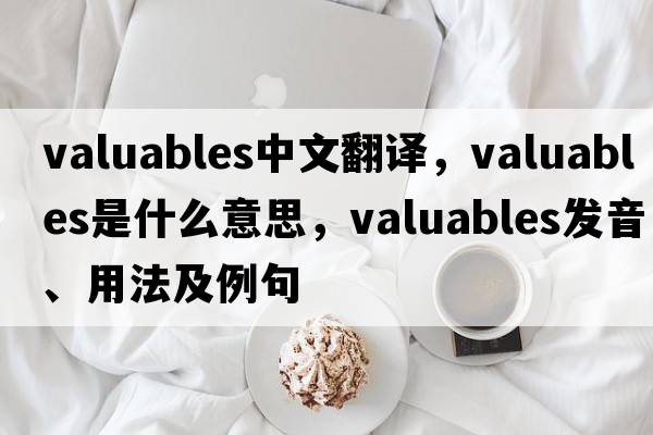 valuables中文翻譯，valuables是什么意思，valuables發(fā)音、用法及例句
