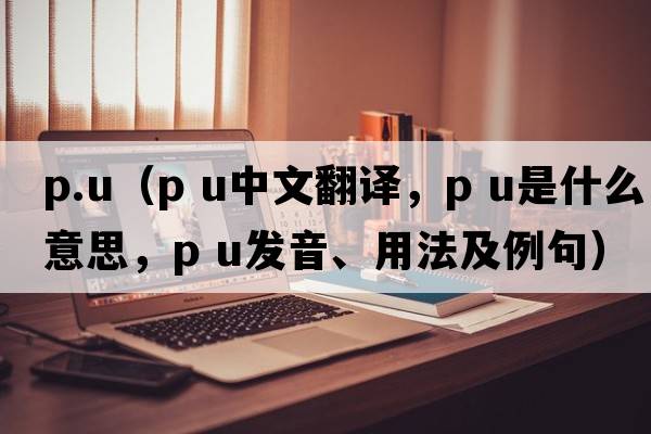 p.u（p u中文翻譯，p u是什么意思，p u發(fā)音、用法及例句）