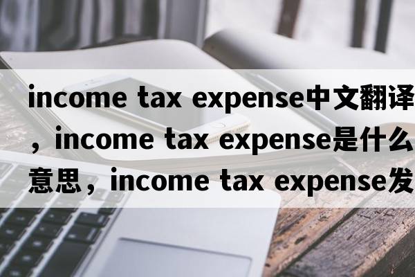 income tax expense中文翻譯，income tax expense是什么意思，income tax expense發(fā)音、用法及例句