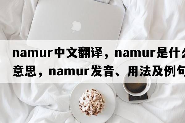 Namur中文翻譯，Namur是什么意思，Namur發(fā)音、用法及例句