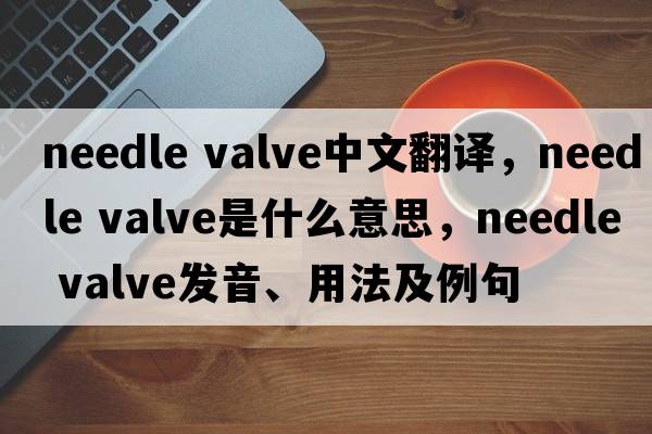 needle valve中文翻譯，needle valve是什么意思，needle valve發(fā)音、用法及例句