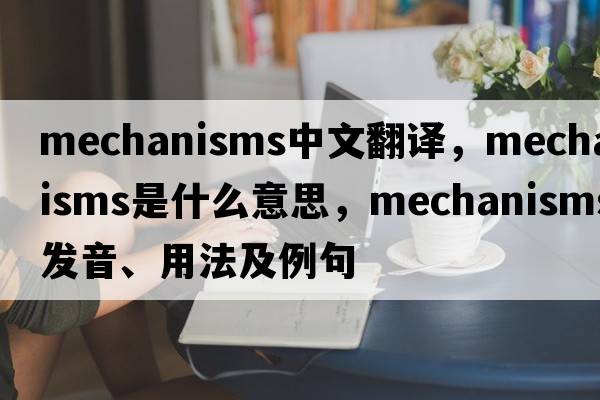mechanisms中文翻譯，mechanisms是什么意思，mechanisms發(fā)音、用法及例句