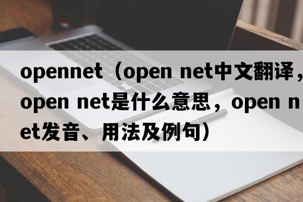 opennet（open net中文翻譯，open net是什么意思，open net發(fā)音、用法及例句）