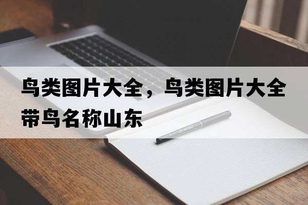 鳥類圖片大全，鳥類圖片大全帶鳥名稱山東