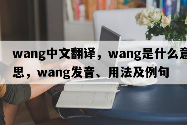 Wang中文翻譯，Wang是什么意思，Wang發(fā)音、用法及例句