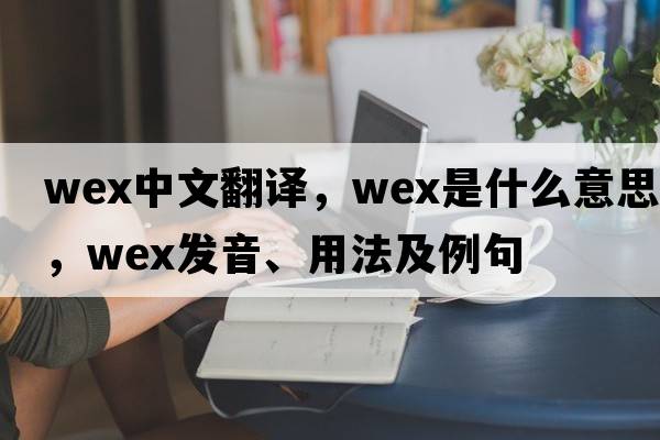 WEX中文翻譯，WEX是什么意思，WEX發(fā)音、用法及例句