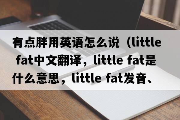 有點胖用英語怎么說（little fat中文翻譯，little fat是什么意思，little fat發(fā)音、用法及例句）