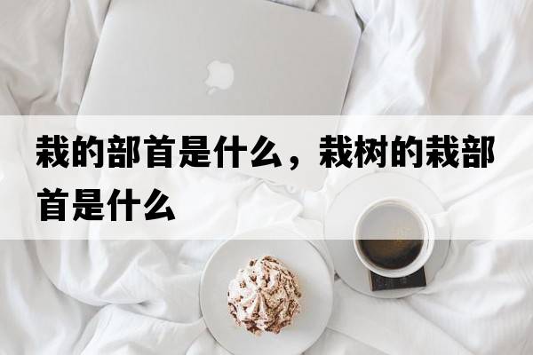 栽的部首是什么，栽樹(shù)的栽部首是什么
