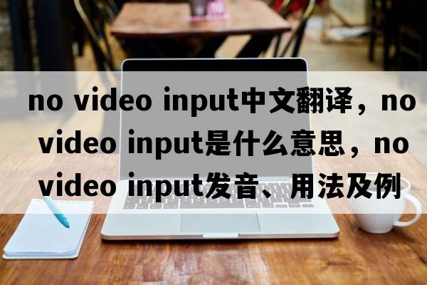 no video input中文翻譯，no video input是什么意思，no video input發(fā)音、用法及例句