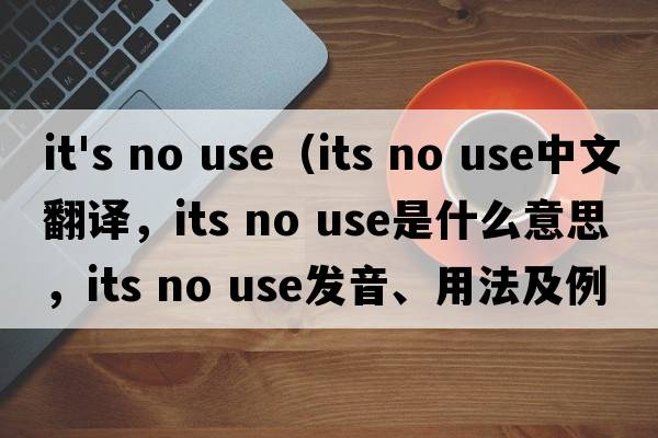 it's no use（its no use中文翻譯，its no use是什么意思，its no use發(fā)音、用法及例句）