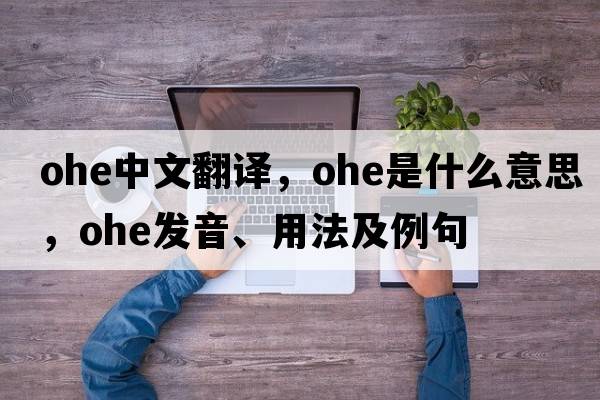 OHE中文翻譯，OHE是什么意思，OHE發(fā)音、用法及例句