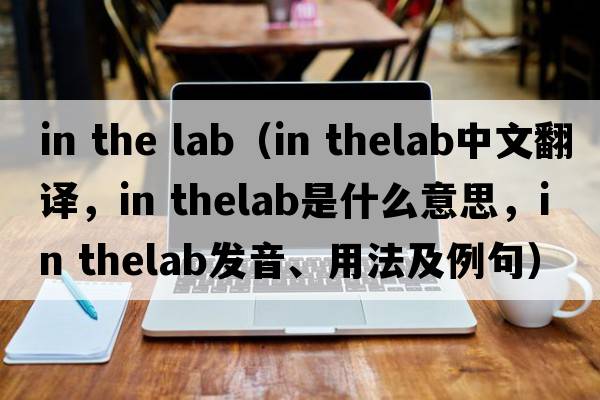 in the lab（in thelab中文翻譯，in thelab是什么意思，in thelab發(fā)音、用法及例句）