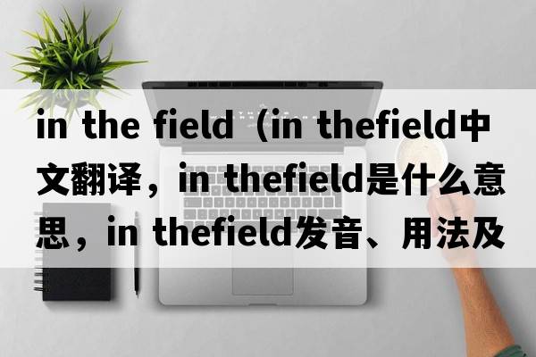 in the field（in thefield中文翻譯，in thefield是什么意思，in thefield發(fā)音、用法及例句）