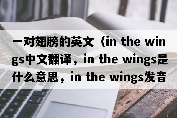 一對(duì)翅膀的英文（in the wings中文翻譯，in the wings是什么意思，in the wings發(fā)音、用法及例句）