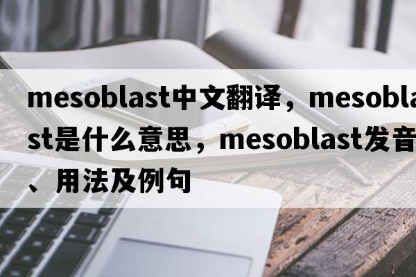 mesoblast中文翻譯，mesoblast是什么意思，mesoblast發(fā)音、用法及例句