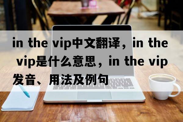 in the vip中文翻譯，in the vip是什么意思，in the vip發(fā)音、用法及例句
