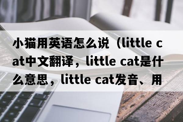 小貓用英語怎么說（little cat中文翻譯，little cat是什么意思，little cat發(fā)音、用法及例句）