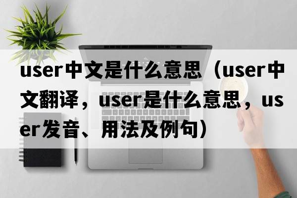 user中文是什么意思（user中文翻譯，user是什么意思，user發(fā)音、用法及例句）