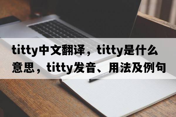 titty中文翻譯，titty是什么意思，titty發(fā)音、用法及例句