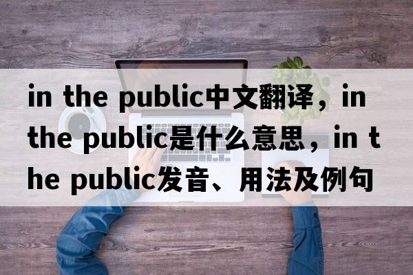 in the public中文翻譯，in the public是什么意思，in the public發(fā)音、用法及例句