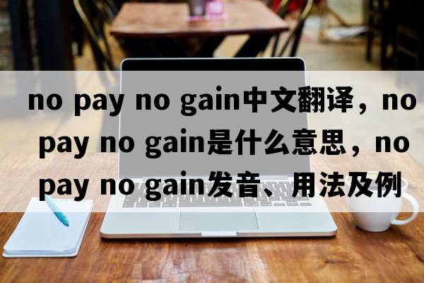 no pay no gain中文翻譯，no pay no gain是什么意思，no pay no gain發(fā)音、用法及例句