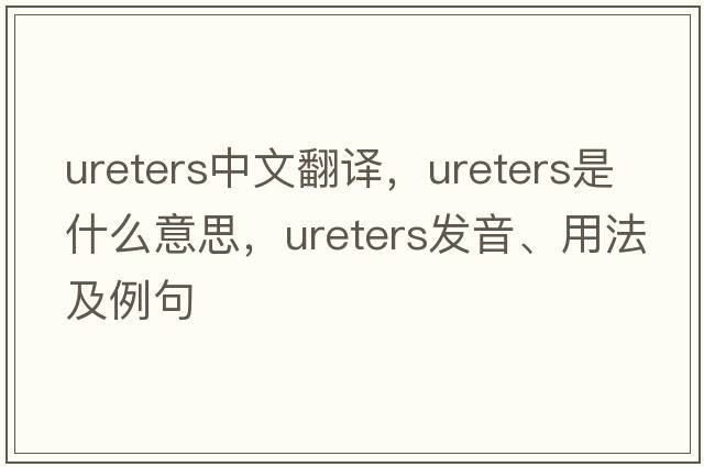 Ureters中文翻譯，Ureters是什么意思，Ureters發(fā)音、用法及例句