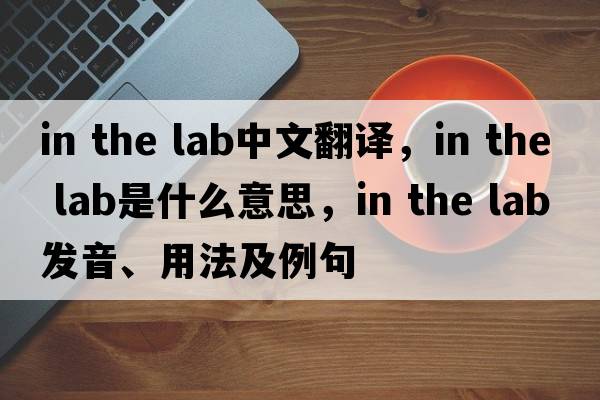 in the lab中文翻譯，in the lab是什么意思，in the lab發(fā)音、用法及例句