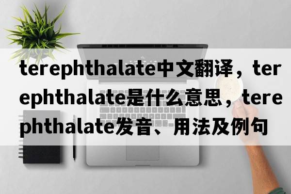 terephthalate中文翻譯，terephthalate是什么意思，terephthalate發(fā)音、用法及例句
