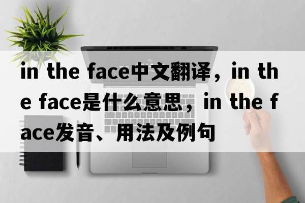 in the face中文翻譯，in the face是什么意思，in the face發(fā)音、用法及例句