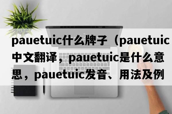 pauetuic什么牌子（pauetuic中文翻譯，pauetuic是什么意思，pauetuic發(fā)音、用法及例句）