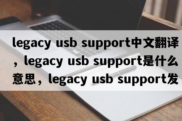 legacy usb support中文翻譯，legacy usb support是什么意思，legacy usb support發(fā)音、用法及例句