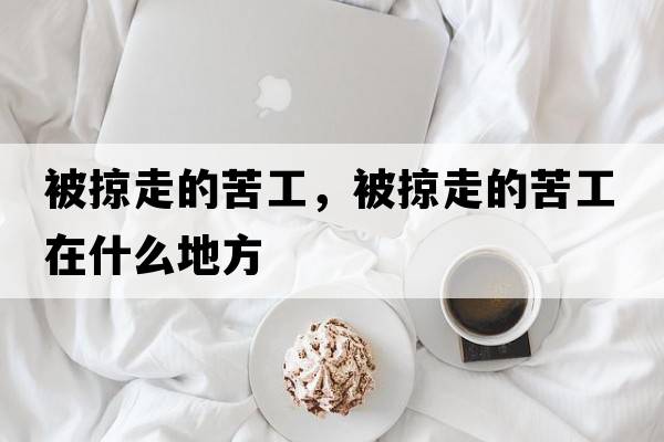 被掠走的苦工，被掠走的苦工在什么地方