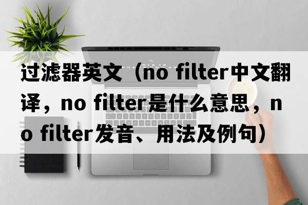 過濾器英文（no filter中文翻譯，no filter是什么意思，no filter發(fā)音、用法及例句）