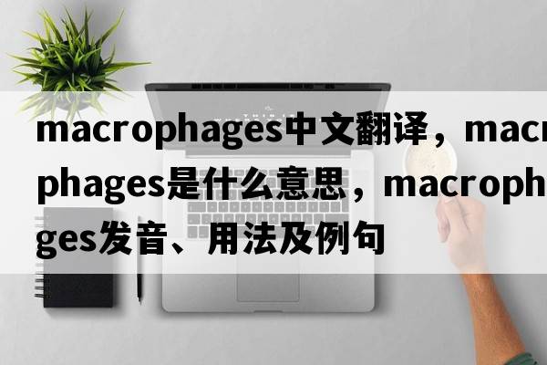 macrophages中文翻譯，macrophages是什么意思，macrophages發(fā)音、用法及例句