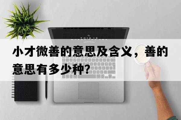 小才微善的意思及含義，善的意思有多少種？
