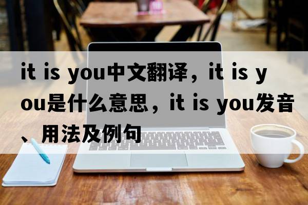 it is you中文翻譯，it is you是什么意思，it is you發(fā)音、用法及例句