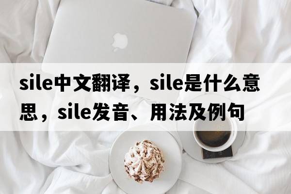 sile中文翻譯，sile是什么意思，sile發(fā)音、用法及例句