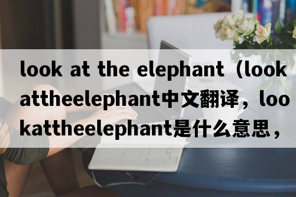 look at the elephant（lookattheelephant中文翻譯，lookattheelephant是什么意思，lookattheelephant發(fā)音、用法及例句）