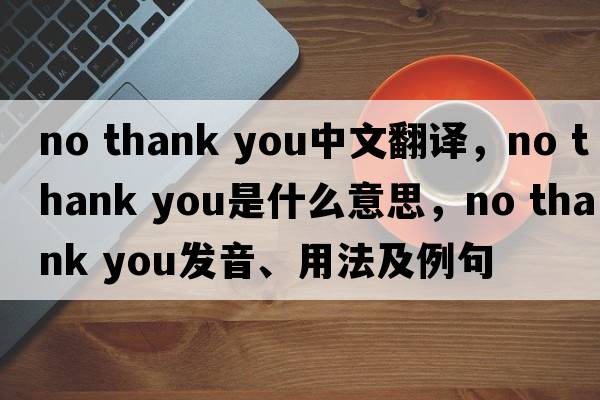 no thank you中文翻譯，no thank you是什么意思，no thank you發(fā)音、用法及例句