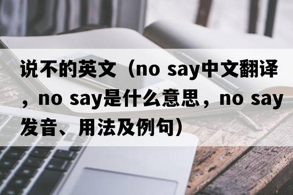 說不的英文（no say中文翻譯，no say是什么意思，no say發(fā)音、用法及例句）