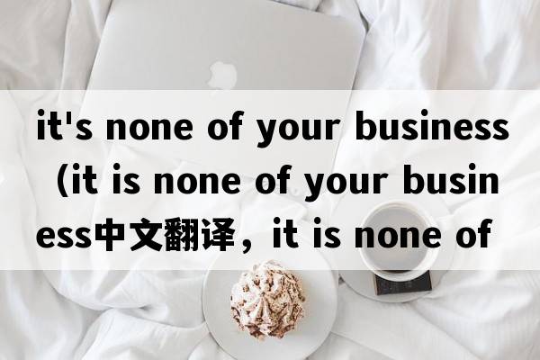 it's none of your business（it is none of your business中文翻譯，it is none of your business是什么意思，it